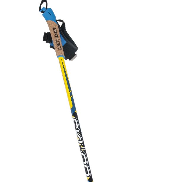 skigo50